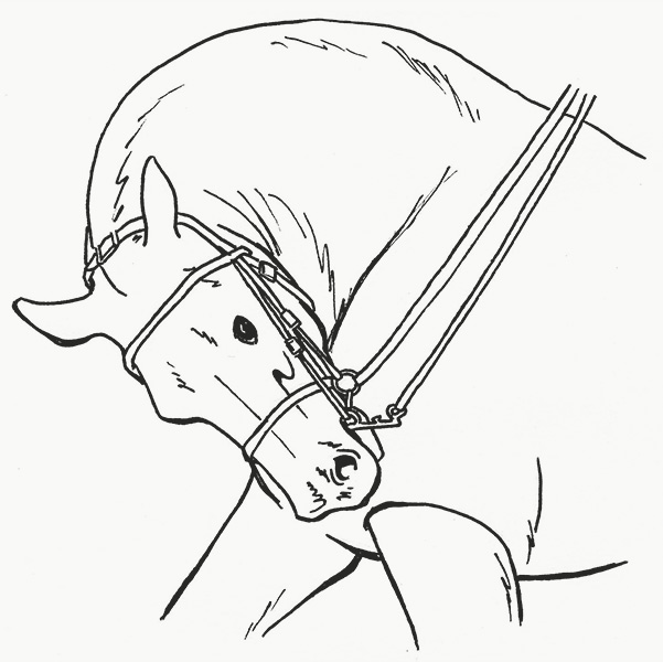 Illustration of a horse portrayed in rollkur.